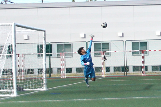 �A�T���v�V������