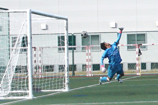 �A�T���v�V������