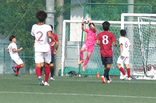 �A�T���v�V������